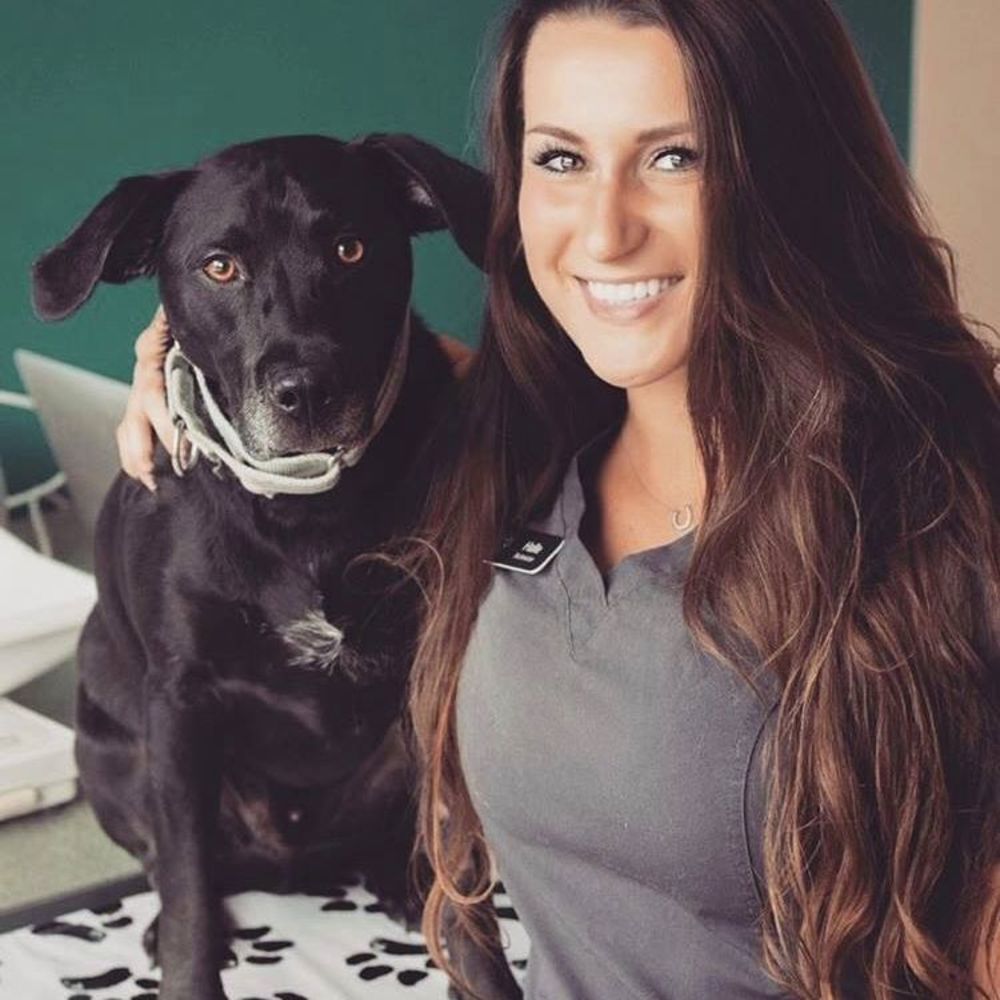 Meet your Posher, Halle